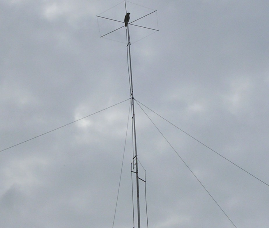 40m DX Antenna